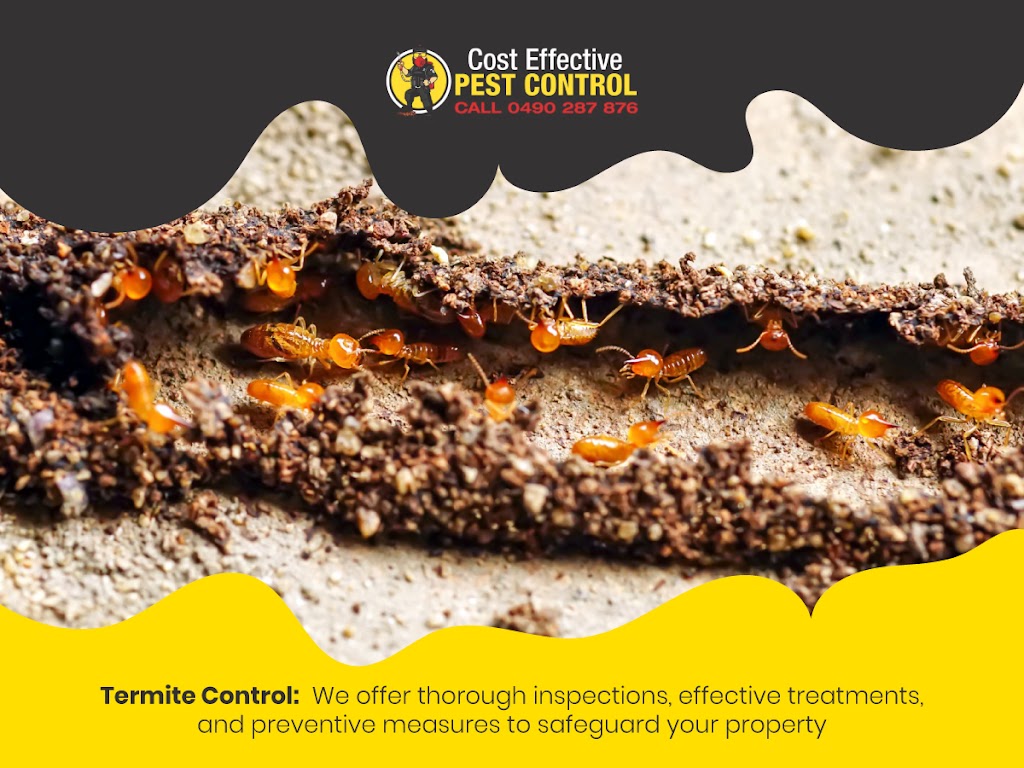 Cost Effective Pest Control | 117 Lake Entrance Rd, Barrack Heights NSW 2528, Australia | Phone: 0490 287 876