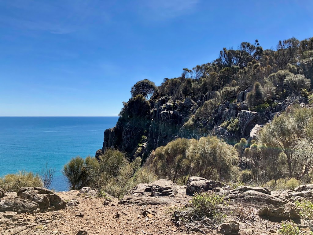 Badger Beach Lookout | park | Gardners Rd, Greens Beach TAS 7270, Australia