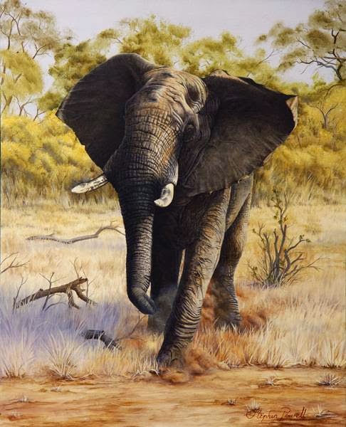 Stephen Powell Wildlife Artist | 64 Hume St, Upwey VIC 3158, Australia | Phone: 0439 975 422