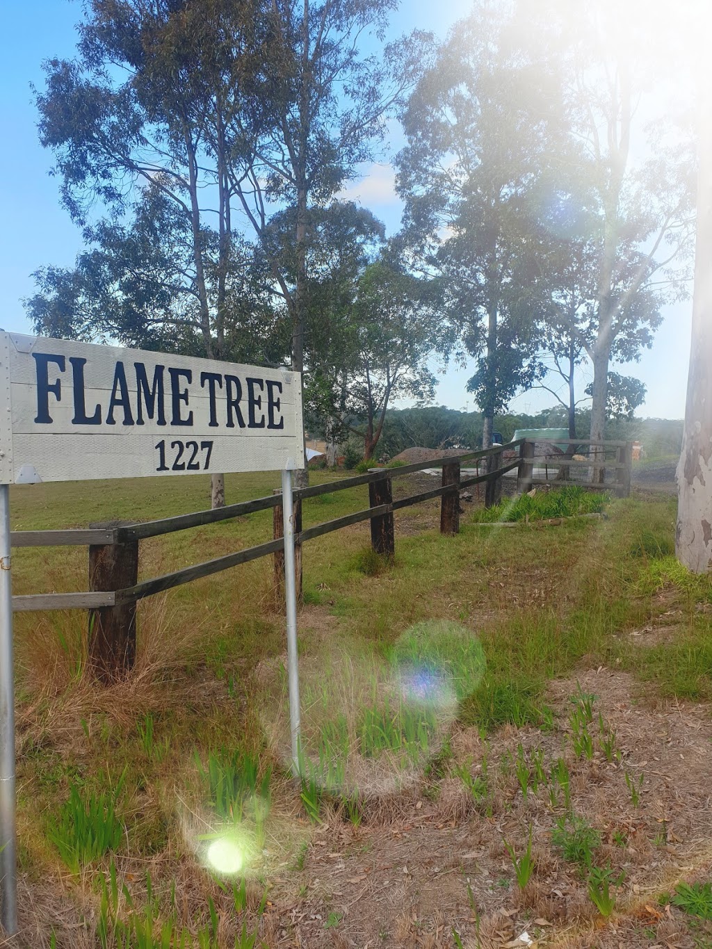 Flame Tree Produce | 1227 Hue Hue Rd, Wyee NSW 2259, Australia | Phone: 0449 843 482