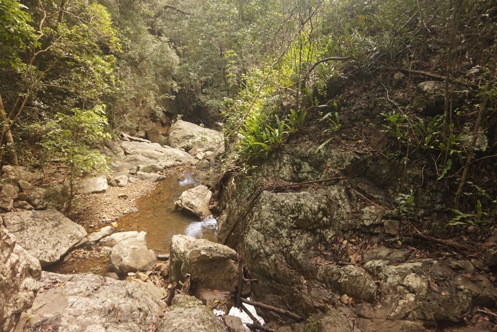 Airlie Creek Track | Waterson Way, Airlie Beach QLD 4802, Australia