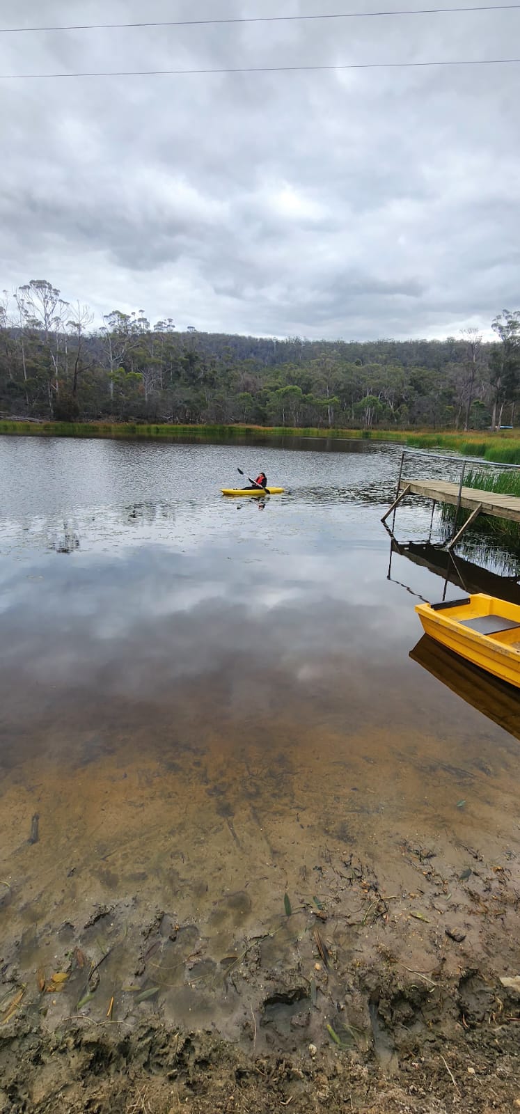 Gumleaves bush holidays | 219 Swanston Rd, Little Swanport TAS 7190, Australia | Phone: 0488 718 749