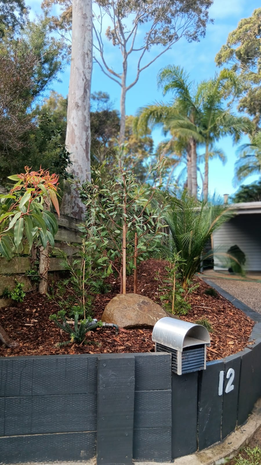 Botanical Boy Gardening Service | 15 Brighton St, Tuross Head NSW 2537, Australia | Phone: 0415 734 630