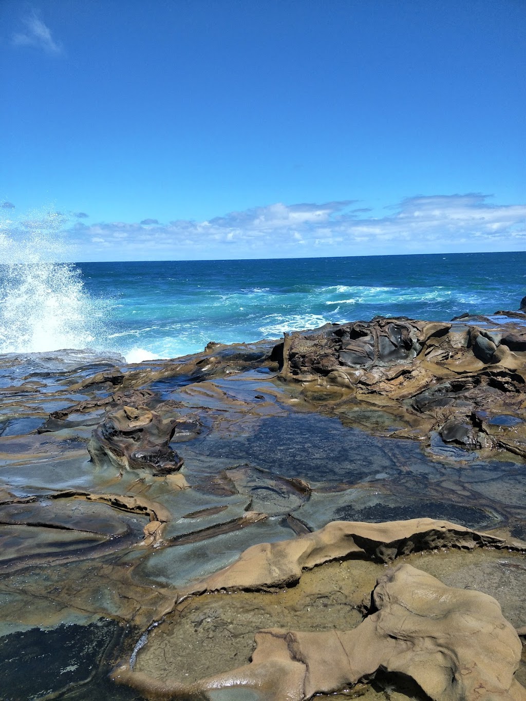 Bunurong Marine National Park | park | Inverloch VIC 3996, Australia | 131963 OR +61 131963