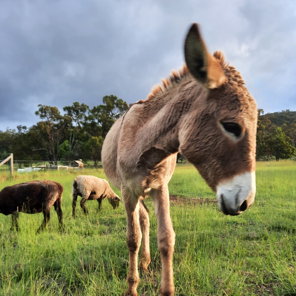 The Ginyard | 1747 Eukey Rd, Eukey QLD 4380, Australia | Phone: 0403 538 271 The Ginyard | 1747 Eukey Rd, Eukey QLD 4380, Australia | Phone: 0403 538 271