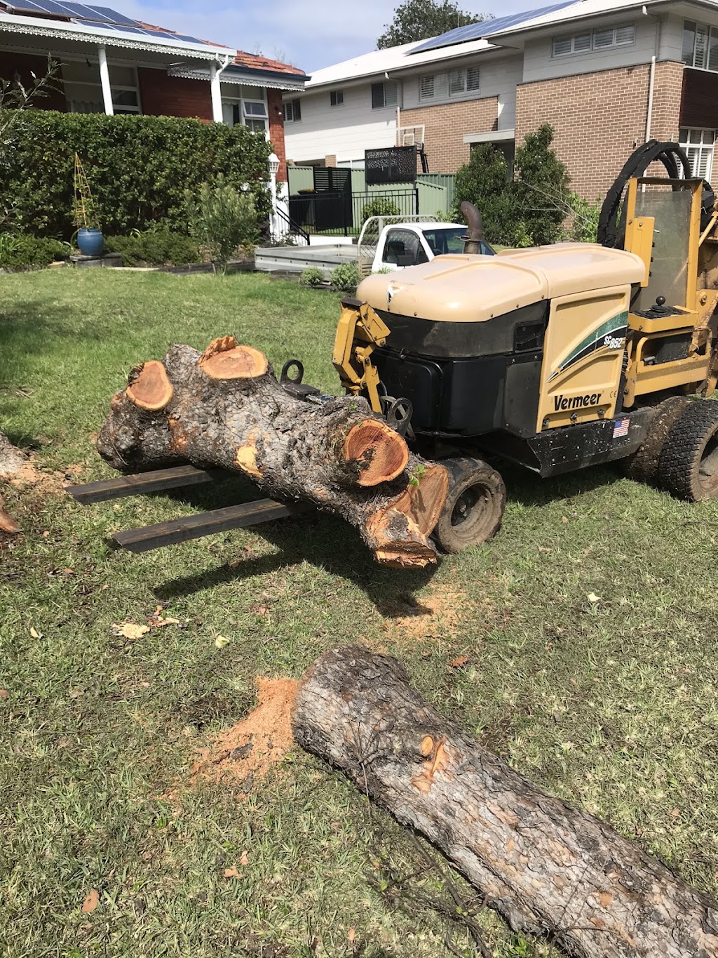 Fast Call Tree Service | 21 Geraldine Ave, Baulkham Hills NSW 2153, Australia | Phone: 1800 800 206