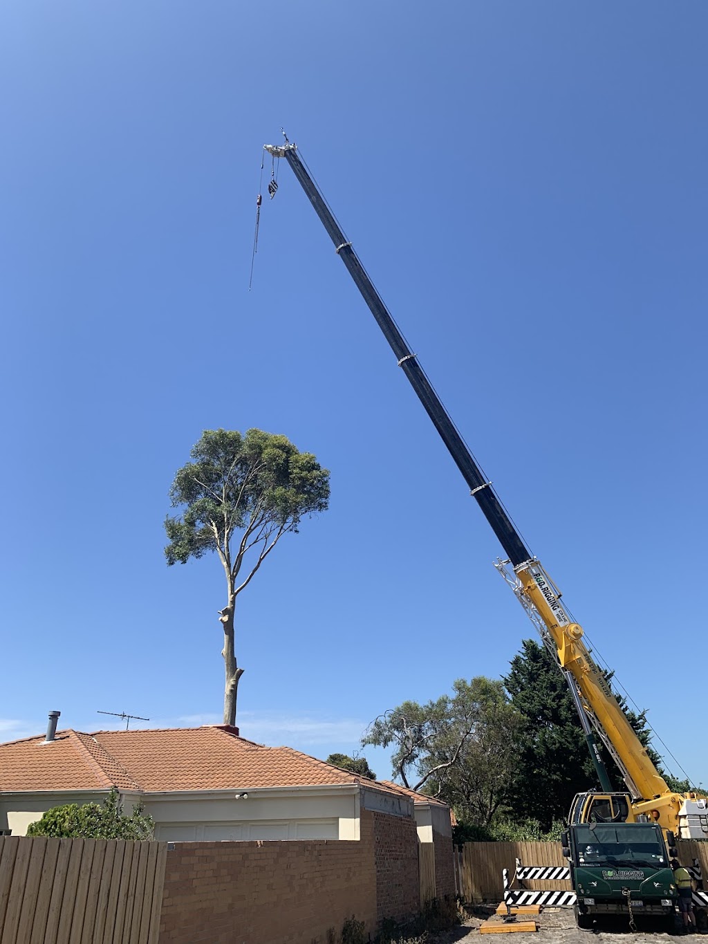 Arborjack tree services | 211 Old Dandenong Rd, Heatherton VIC 3202, Australia | Phone: 0438 342 448