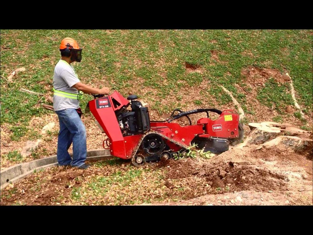 Stump Grinding by Nodez | park | 81 Neil Rd, Maryborough West QLD 4650, Australia | 0417761492 OR +61 417 761 492