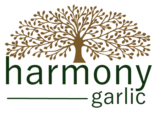 Harmony Garlic | Waugh Rd, Toolamba VIC 3614, Australia | Phone: 0448 421 628