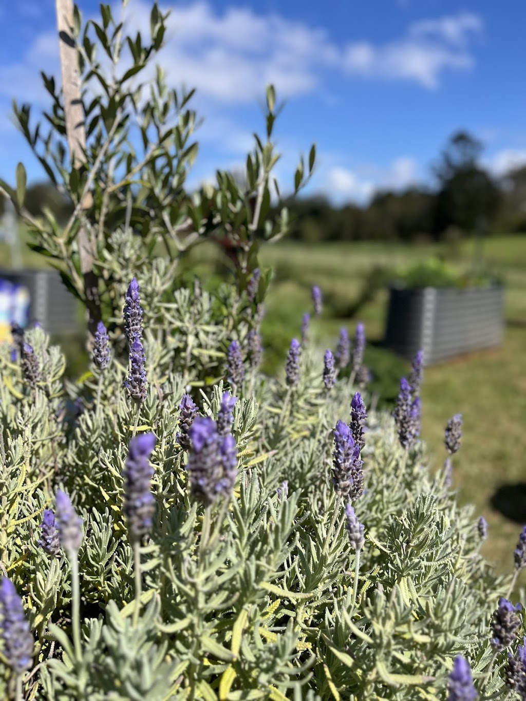 Nurture Design | Wynnum QLD 4178, Australia | Phone: 0411 052 150