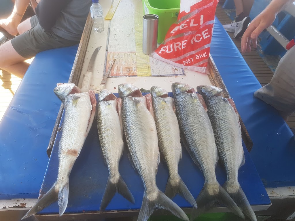 Timeout Fishing Charters | Rye Pier, Rye VIC 3941, Australia | Phone: 0400 440 705