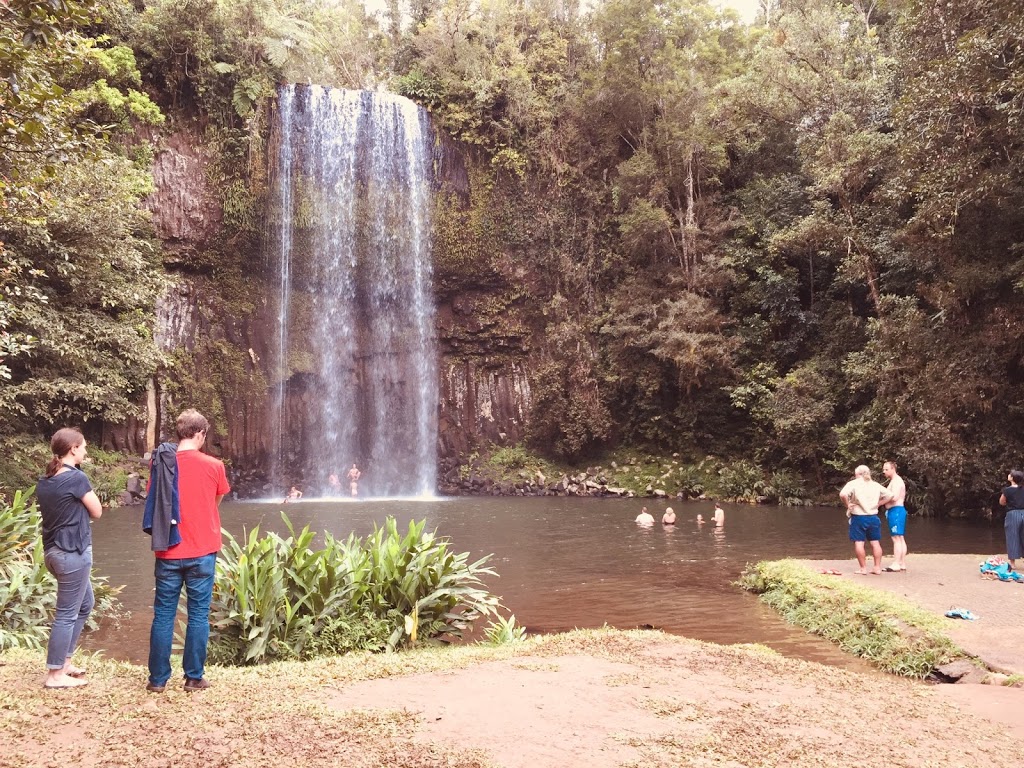 Millaa Millaa Falls | Millaa Millaa QLD 4886, Australia