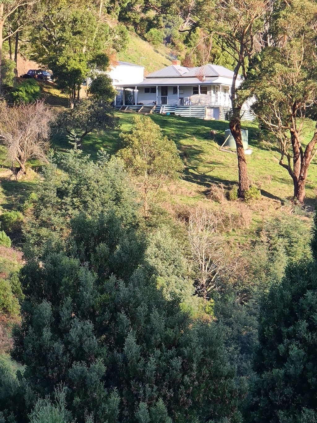Nippards Nature Cottage | 305 Nippards Track, Woorarra West VIC 3960, Australia | Phone: 0421 043 090