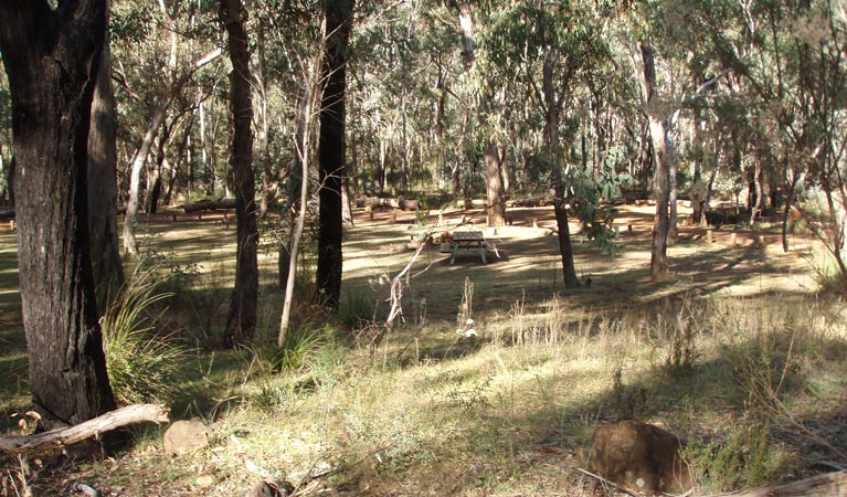 Greenbah campground | Sawpit Gully Trail, Baldry NSW 2867, Australia | Phone: (02) 6332 7640