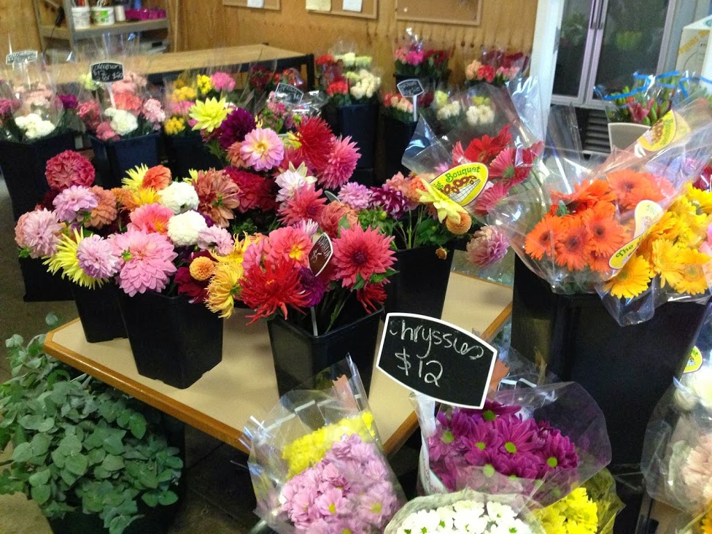 Toowoomba Flower Market | 15 Tointon St, Toowoomba City QLD 4350, Australia | Phone: (07) 4638 1340