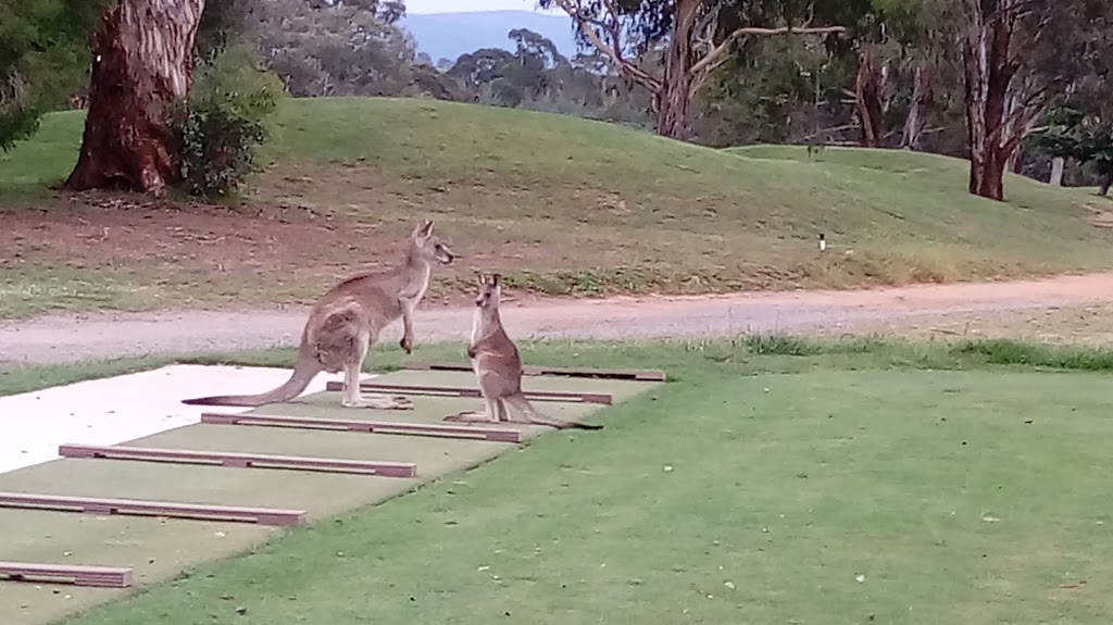 The Federal Golf Club | restaurant | Gowrie Dr, Red Hill ACT 2603, Australia | 0262811888 OR +61 2 6281 1888