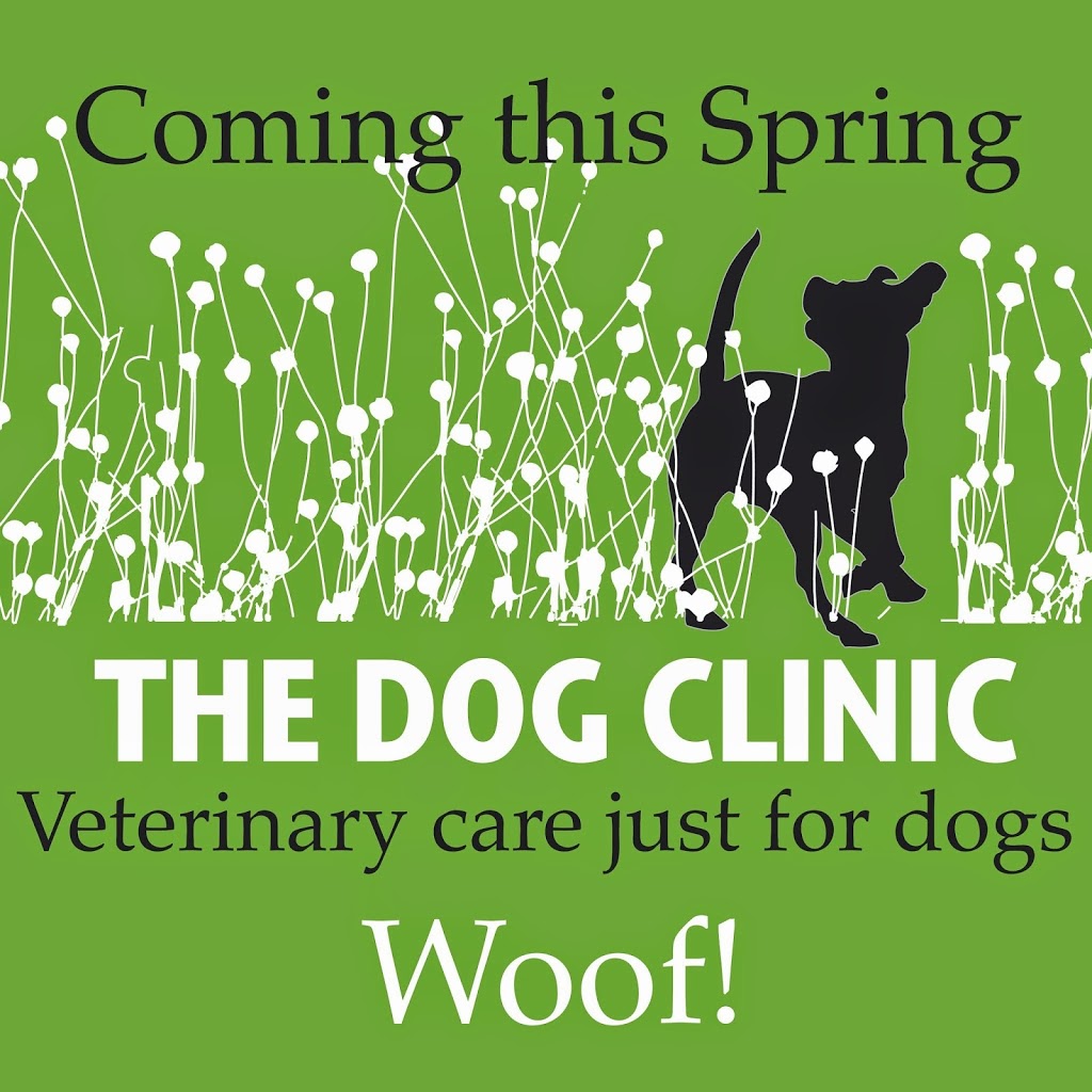 The Dog Clinic Hobart - Veterinary care exclusively for dogs | 4/148 Channel Hwy, Taroona TAS 7053, Australia | Phone: (03) 6227 9586