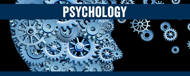 Empowered Psychology - Counselling and Cognitive Assessment, Dep | health | 3 Curry Ave, Greensborough VIC 3088, Australia | 0394447425 OR +61 3 9444 7425