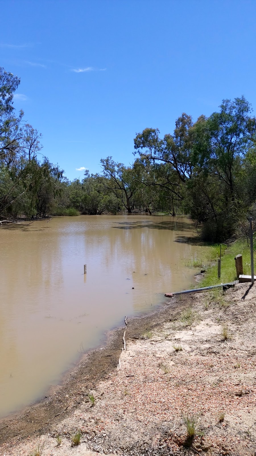 Bokhara River Campground | campground | Hebel QLD 4486, Australia | 0746208877 OR +61 7 4620 8877