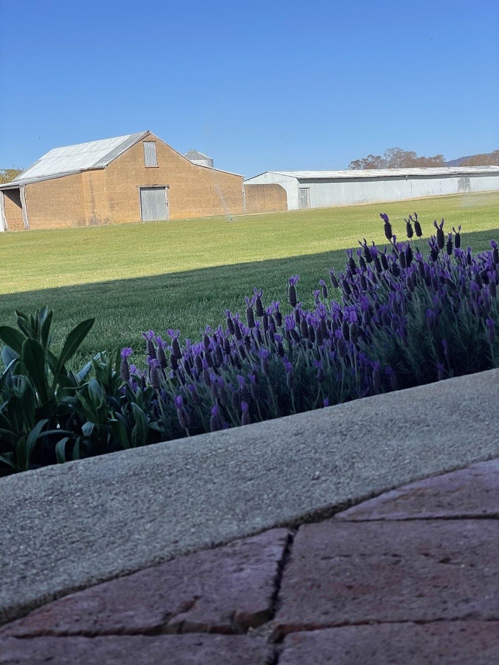 Yarras Homestead | 97 Yarras Ln, Yarras NSW 2795, Australia | Phone: 0438 318 799