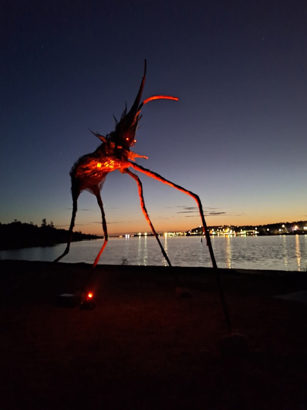 the art COLT | 20 Dixon St, Stratford VIC 3862, Australia | Phone: 0419 323 219