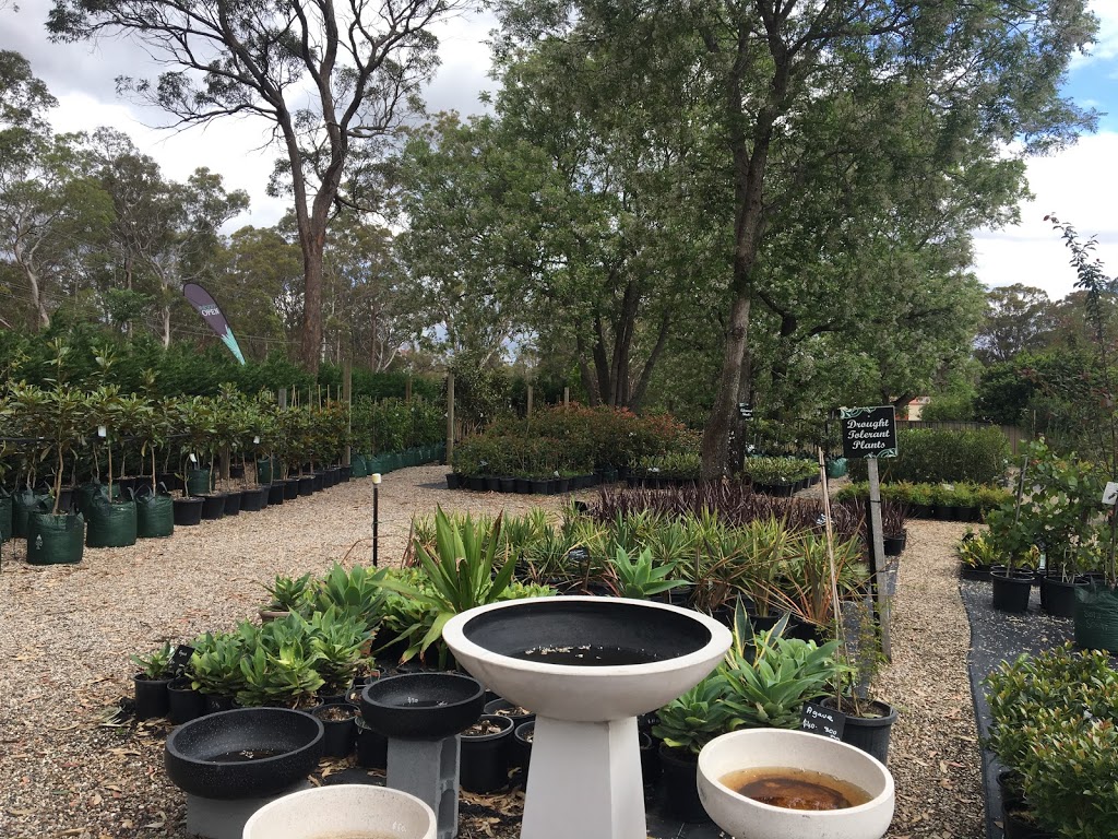 Thirlmere Nursery | Thirlmere NSW 2572, Australia | Phone: 0406 634 316