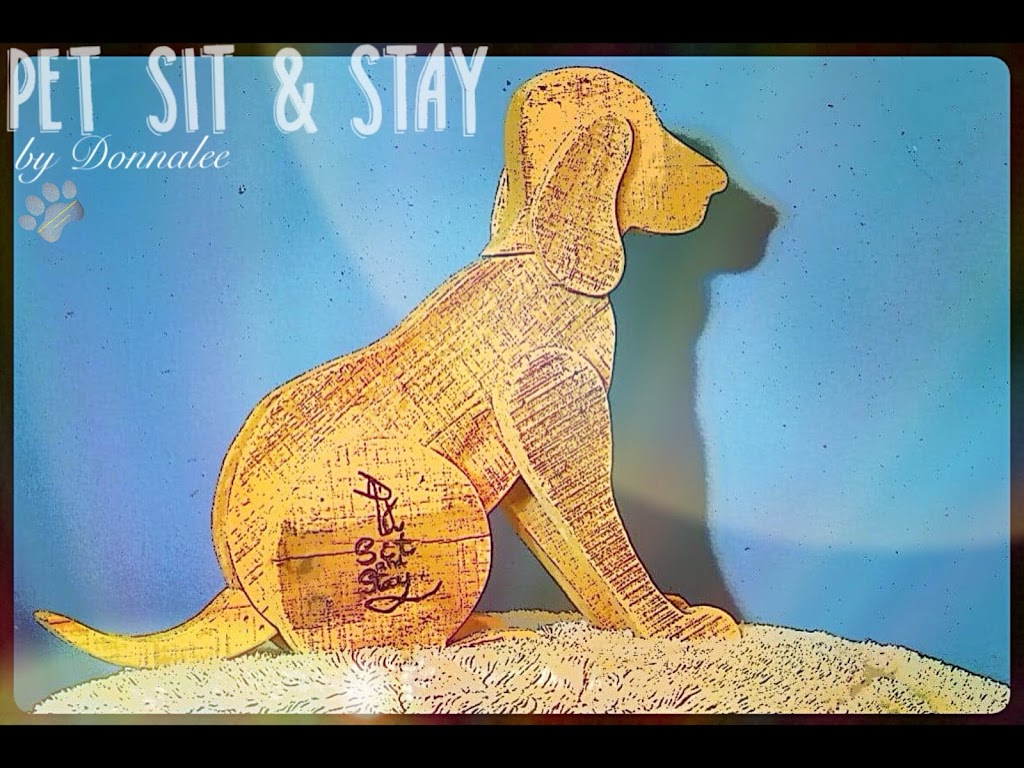 Pet Sit and Stay |  | 16 Dolara Ct, Maddington WA 6109, Australia | 0404601749 OR +61 404 601 749