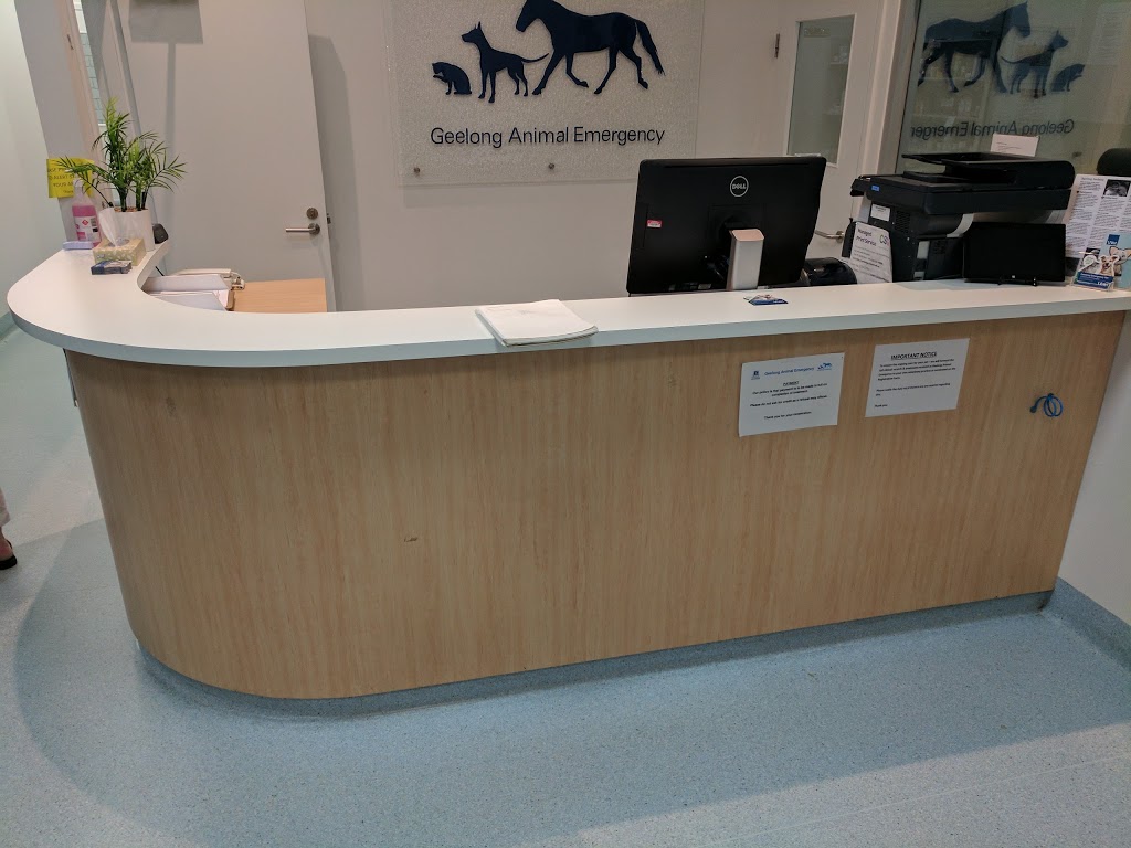 Geelong Animal Emergency | veterinary care | 102 Fyans St, South Geelong VIC 3220, Australia | 0352222139 OR +61 3 5222 2139
