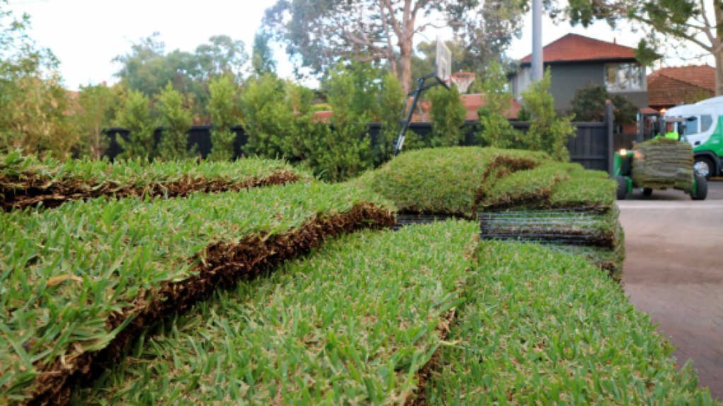 Lilydale Instant Lawn | Pakenham | 790 McDonalds Drain Rd E, Pakenham South VIC 3810, Australia | Phone: (03) 9122 8718