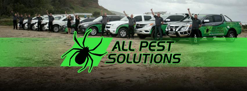All Pest Solutions | home goods store | 18 Russellton Dr, Alstonville NSW 2477, Australia | 0266816555 OR +61 2 6681 6555