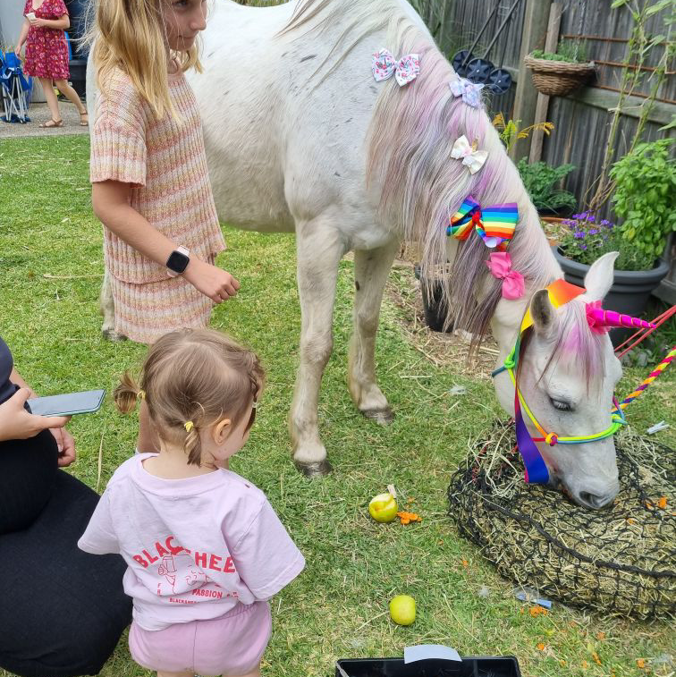 Pony at my Party | food | 23 Reeders St, Sandstone Point QLD 4511, Australia | 0452545558 OR +61 452 545 558