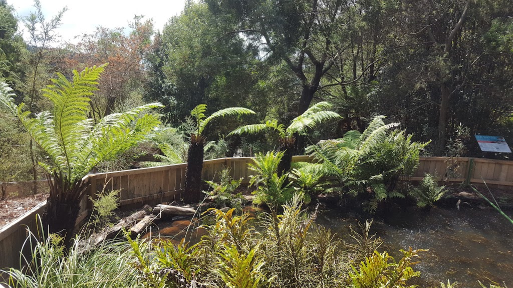 Lobster Ponds | tourist attraction | 241 Robin Hill Rd, Flowerdale TAS 7325, Australia | 0458420006 OR +61 458 420 006