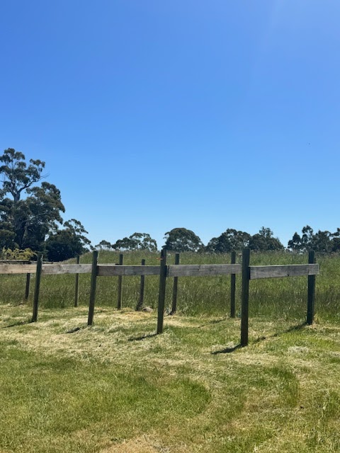 Illoura Equestrian | 1020 Daylesford-Malmsbury Rd, Glenlyon VIC 3461, Australia | Phone: 0421 611 201