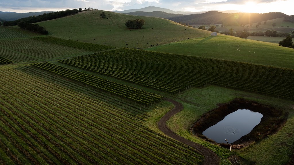 eStellar Estate | 1568/1620 Melba Hwy, Dixons Creek VIC 3775, Australia | Phone: 0402 575 818