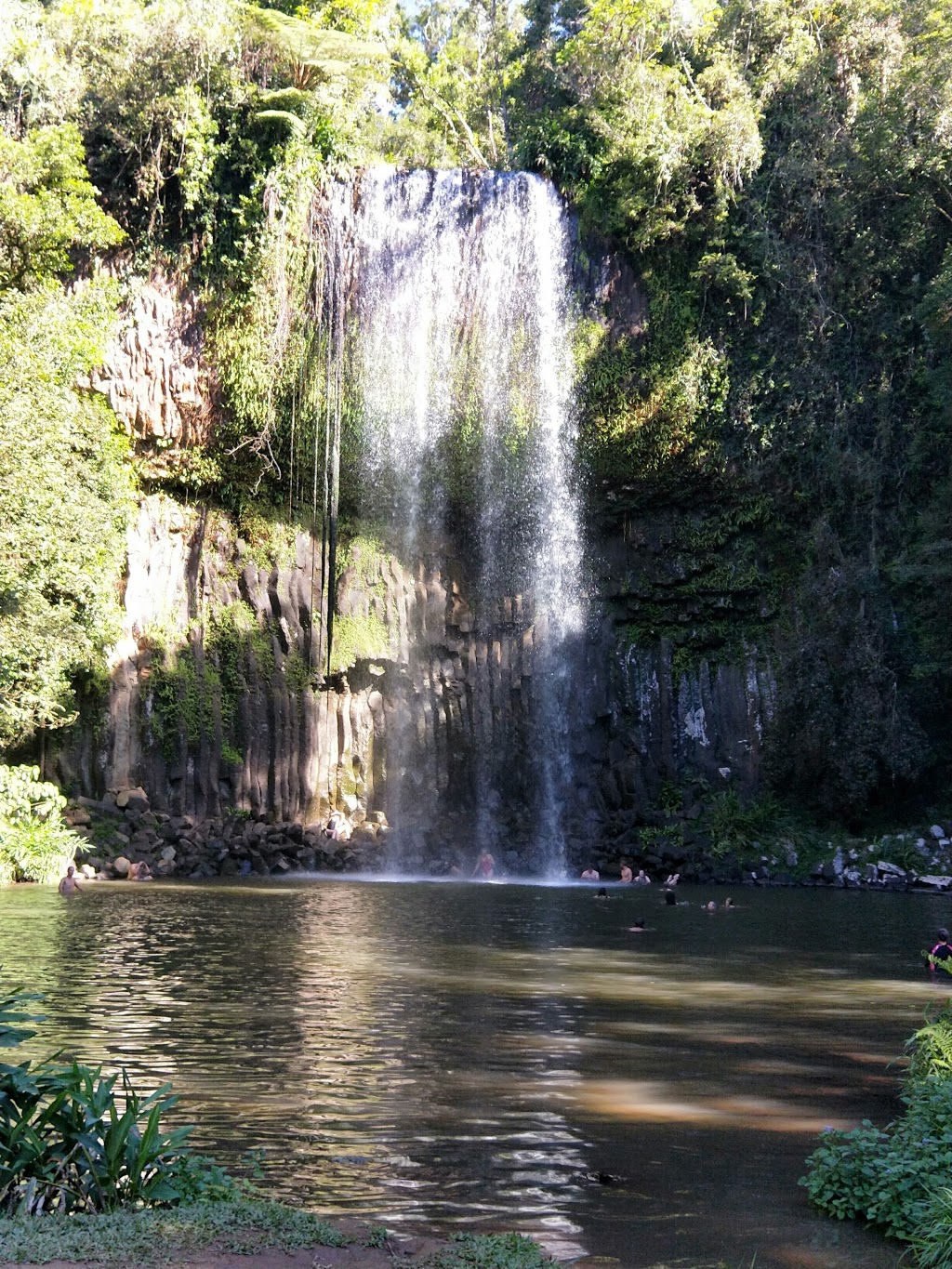 Malanda Falls Conservation Park | Malanda QLD 4885, Australia