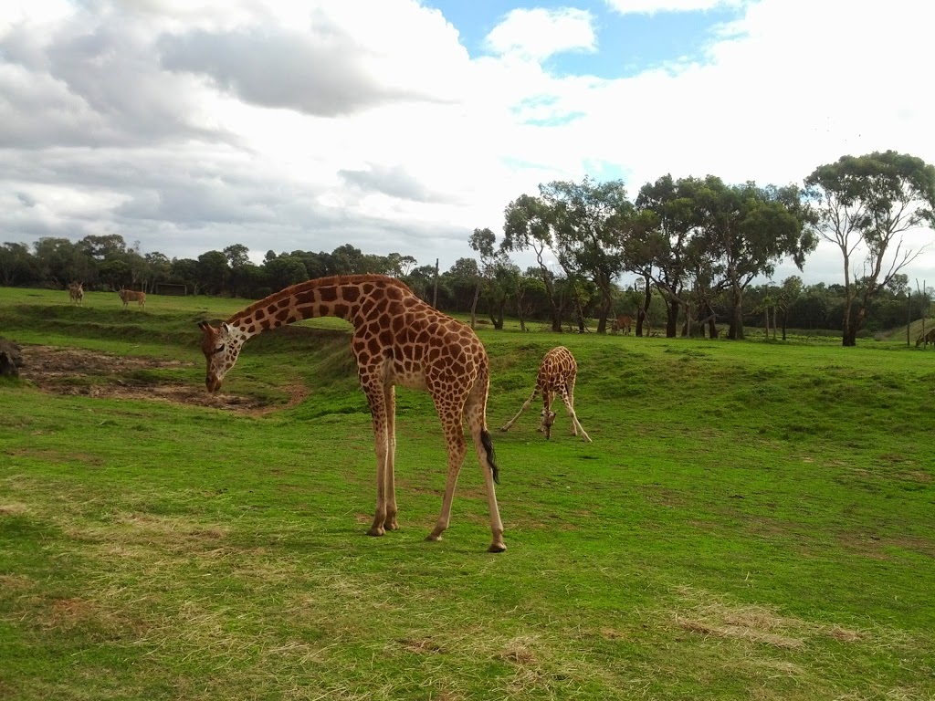 Coomoora Reserve | park | Keysborough VIC 3173, Australia