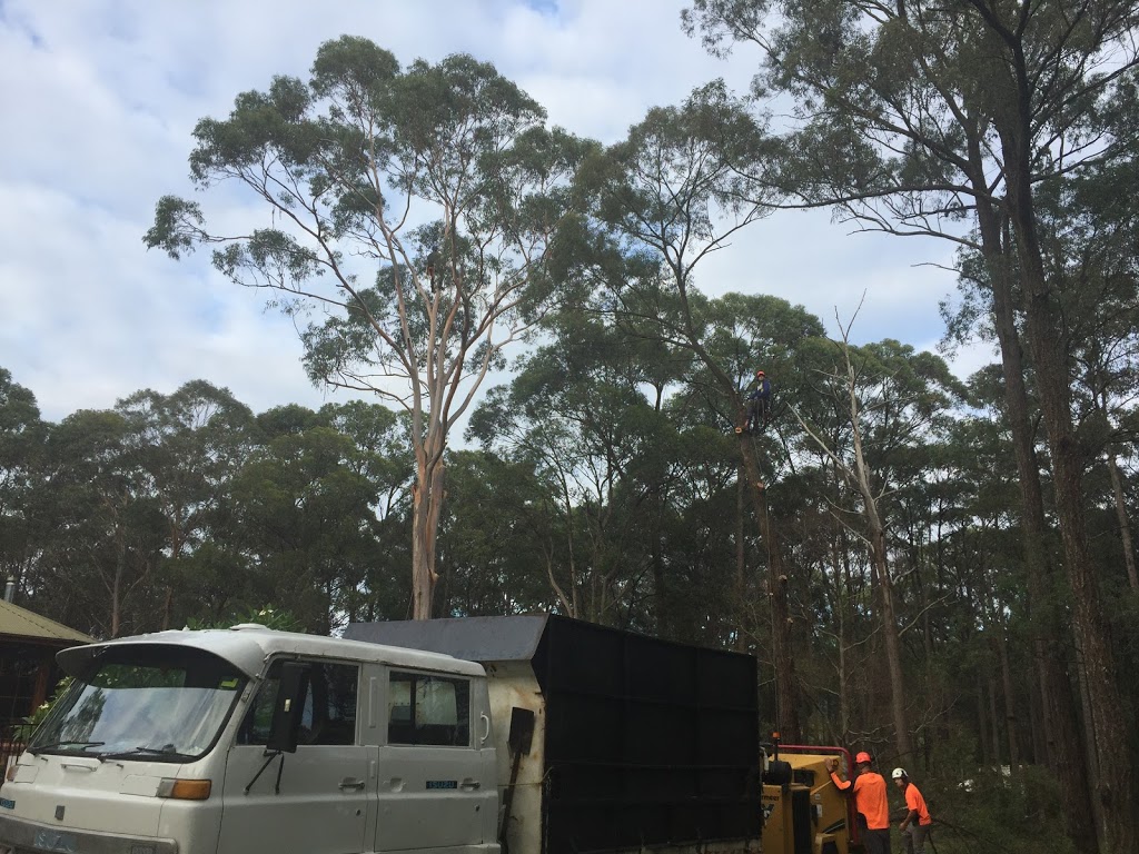 Complete tree worx |  | Pox 7226, Wilberforce NSW 2756, Australia | 0421770859 OR +61 421 770 859