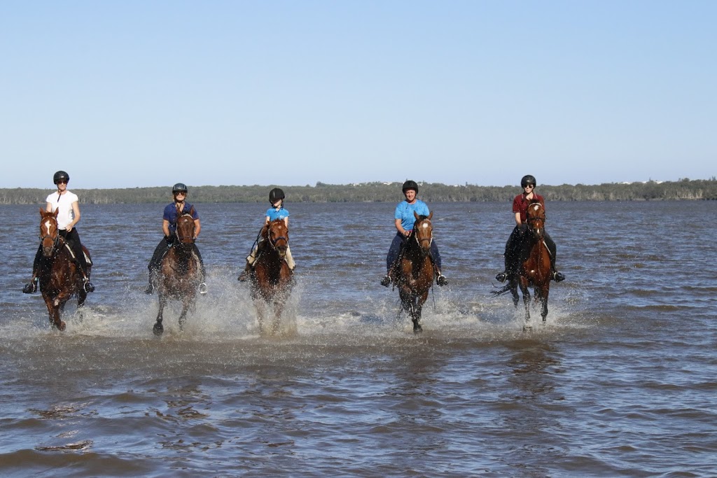 Noosa Horse Riding | travel agency | 22 Wills Road, Weyba Downs QLD 4562, Australia | 0438710530 OR +61 438 710 530