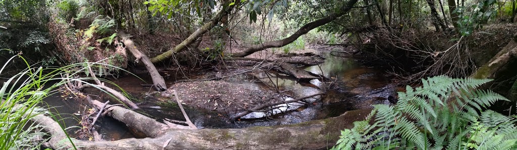 Cabbage Tree Creek Flora Reserve. | park | Cabbage Tree Creek VIC 3889, Australia | 131963 OR +61 131963