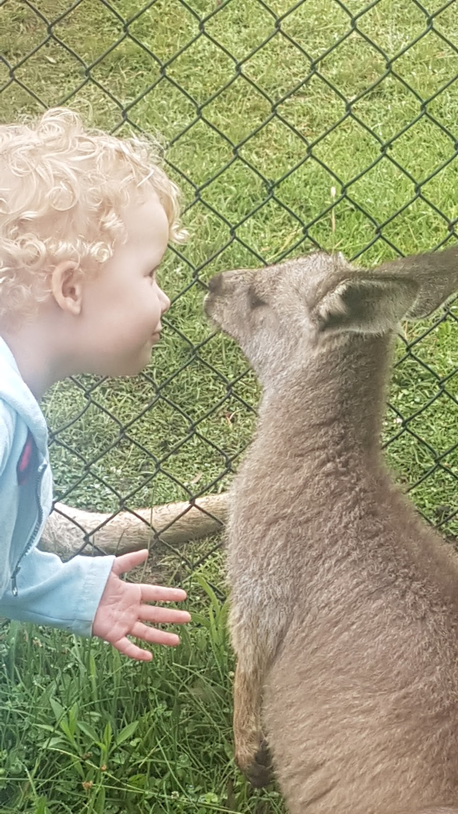 Taralga Wildlife Park | 257 Bannaby Rd, Taralga NSW 2580, Australia | Phone: 0419 014 540