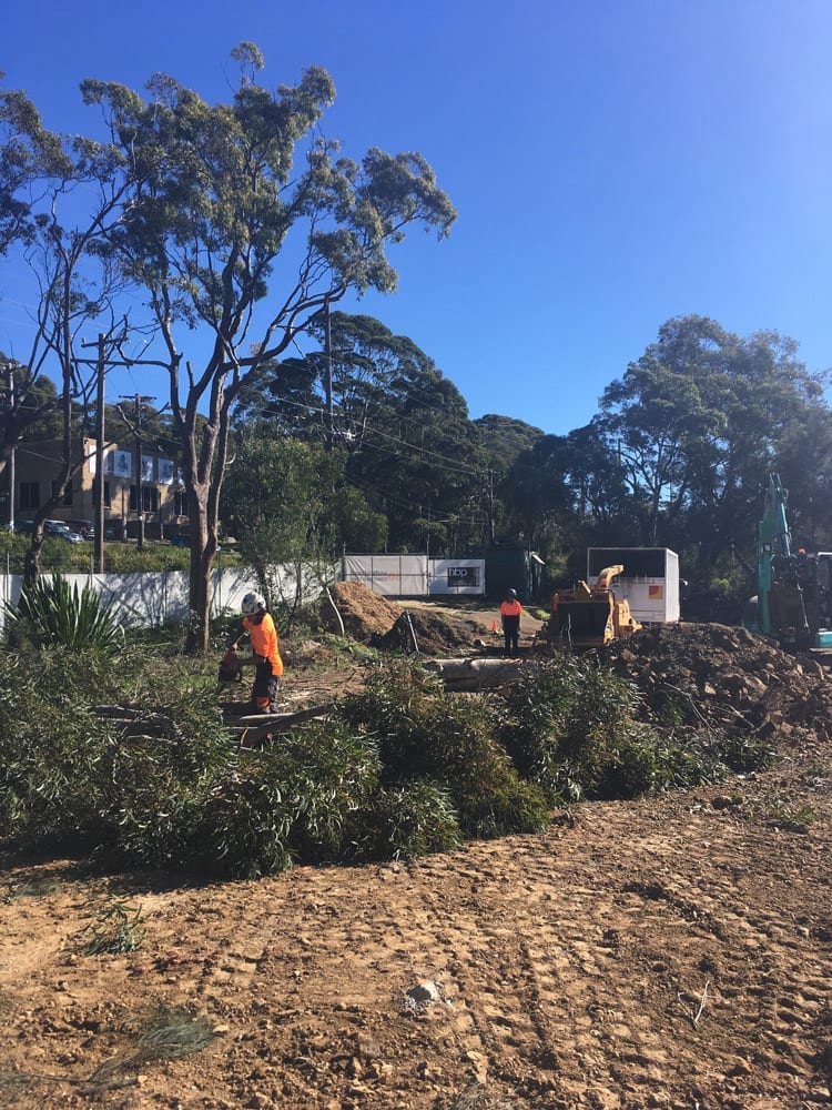 Tip Top Tree Services | 7/17 Cemetery Rd, Helensburgh NSW 2508, Australia | Phone: 0431 184 095