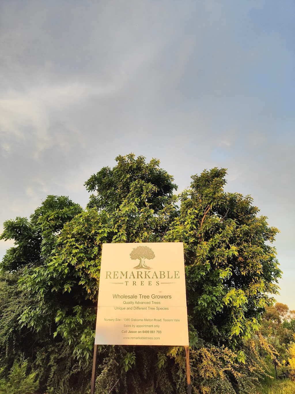 Remarkable Trees | 1385 Gisborne-Melton Rd, Toolern Vale VIC 3337, Australia | Phone: 0400 861 703