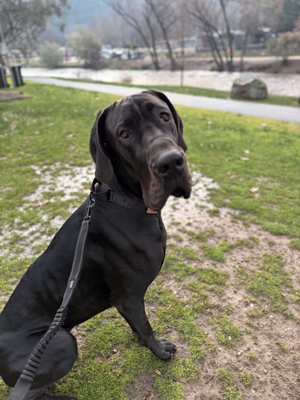 Cranmore Cottage | 8 Mitchells Ln, Wandiligong VIC 3744, Australia | Phone: (03) 5759 2555