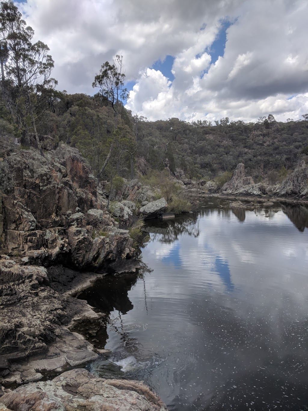 Kings Plains National Park | park | 68 Church St, Glen Innes NSW 2370, Australia | 0267390700 OR +61 2 6739 0700