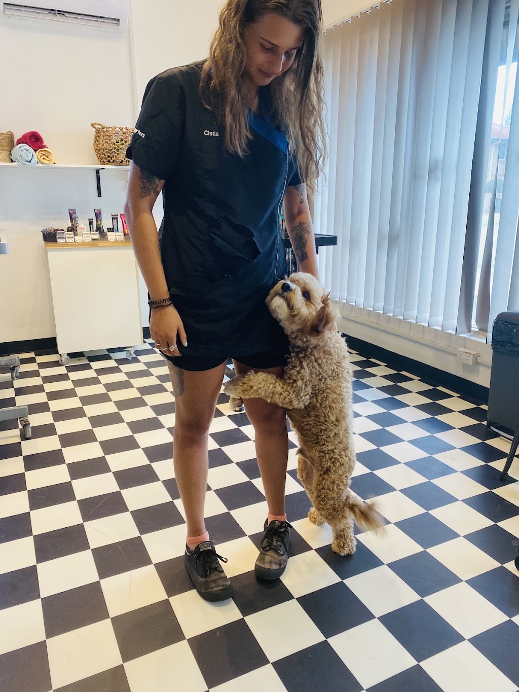 Heavenly Paws Dog Grooming & Washing | 4/78 Oxford St, Gateshead NSW 2290, Australia | Phone: 0421 278 688