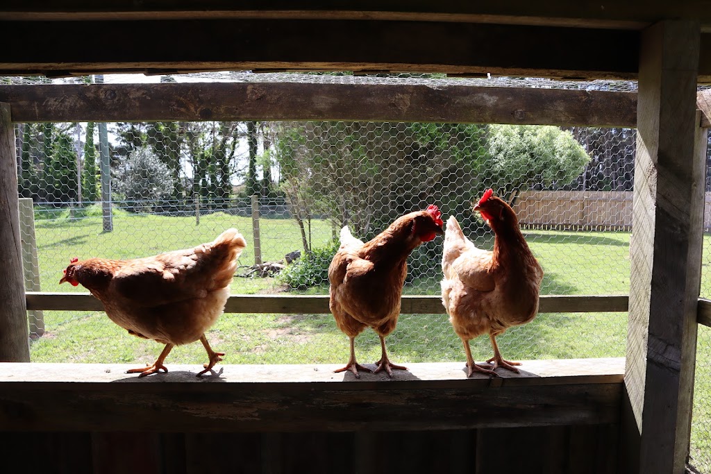 PepperTree Farm Stay | 344 Yarra Creek Rd, Lymwood TAS 7256, Australia | Phone: 0499 932 967