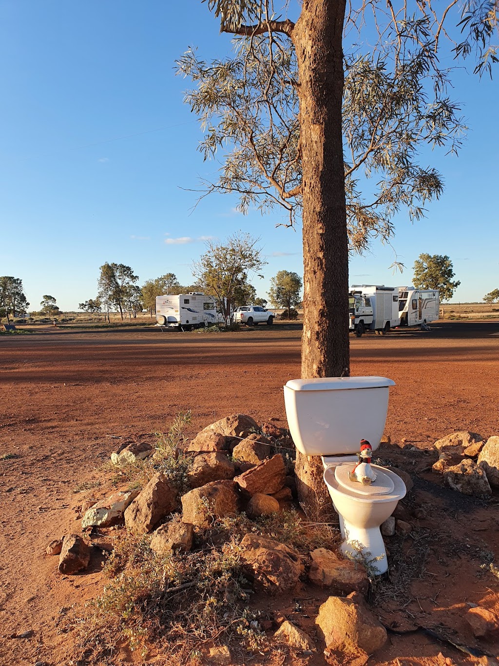 Bush Tucker Inn and Caravan Park | 13698 Mitchell Hwy, Barringun NSW 2840, Australia | Phone: (02) 6874 7584