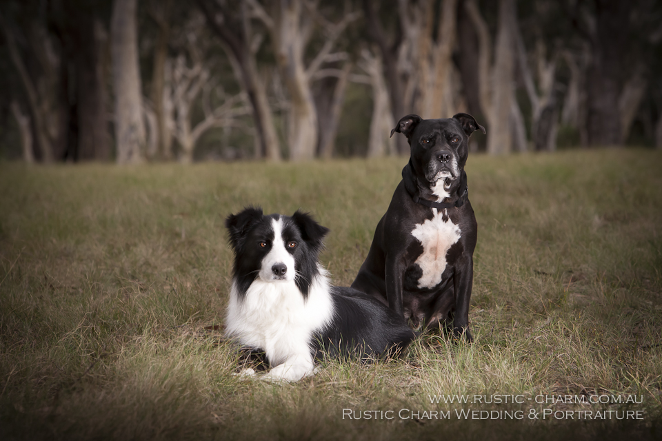 Rustic Charm Photography |  | 59 Southey St, Mittagong NSW 2575, Australia | 0456185405 OR +61 456 185 405
