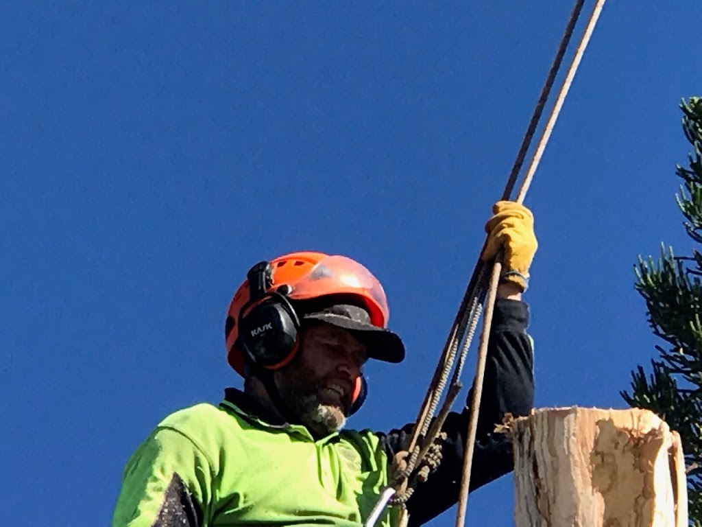 Eden Trees - Tree Removal Logan Brisbane - Arborist |  | 1322-1334 Chambers Flat Rd, Chambers Flat QLD 4133, Australia | 0755470934 OR +61 7 5547 0934