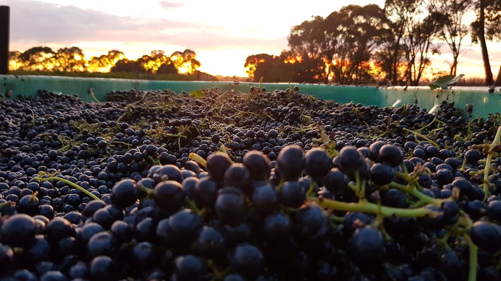Black Wallaby Wines | 38 Avondale Ln, Bridgewater North VIC 3516, Australia | Phone: 0448 917 093